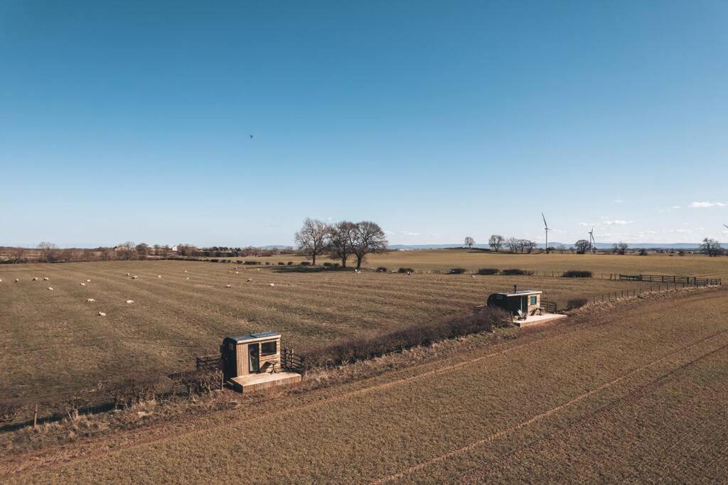 'Pipistrelle' Remote Off-Grid Micro Cabin Villa Sedgefield Exterior photo